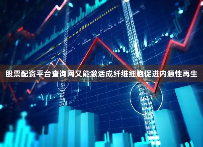 股票配资平台查询网又能激活成纤维细胞促进内源性再生
