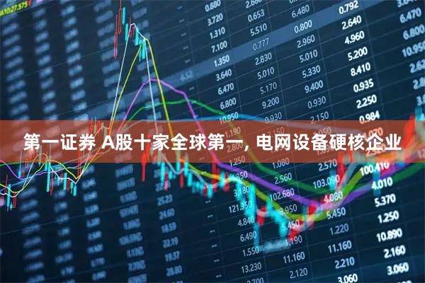 第一证券 A股十家全球第一, 电网设备硬核企业