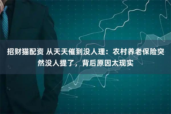 招财猫配资 从天天催到没人理：农村养老保险突然没人提了，背后原因太现实