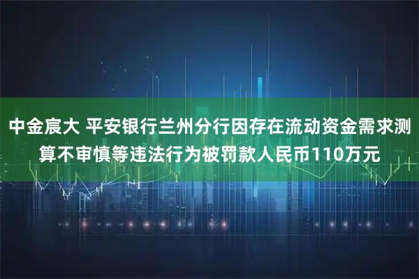 中金宸大 平安银行兰州分行因存在流动资金需求测算不审慎等违法行为被罚款人民币110万元